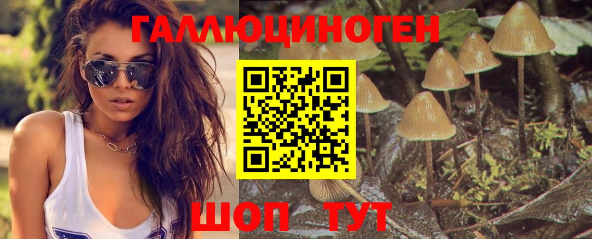 Псилоцибиновые грибы Cubensis Удомля